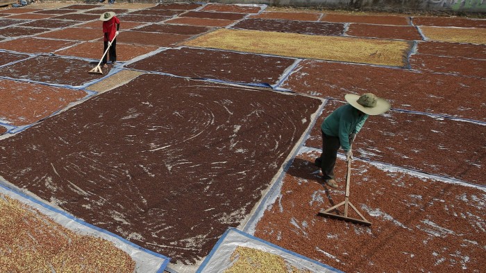 Farmers use rakes to dry cloves, commonly used in locally manufactured cigarettes, near Purwakarta, West Java, Indonesia, August 25, 2015. REUTERS/Darren Whiteside  - RTX1PK1M