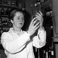 24th January 1950: Miss Margaret Roberts busy with her work as a research chemist. Margaret Roberts went on to become Prime Minister Margaret Thatcher