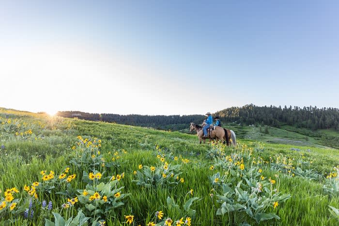 A beginner's guide to buying a US ranch | Financial Times