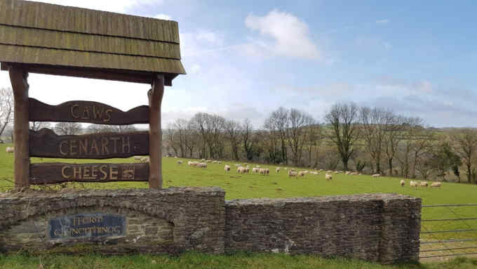 Caws Cenarth, cheesemonger in the West of Wales.