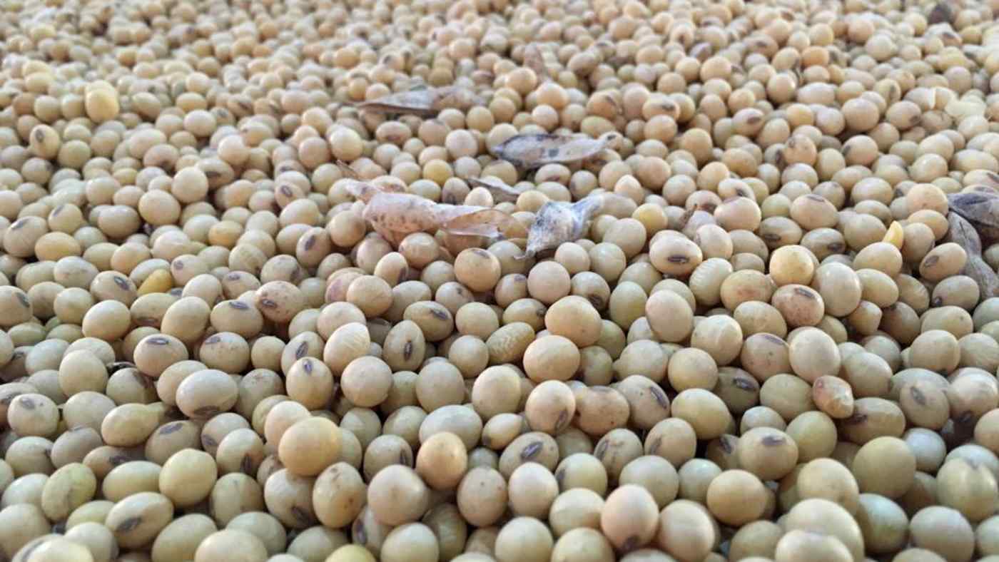 China is increasing imports of U.S. soybeans in hopes of alleviating trade tensions.