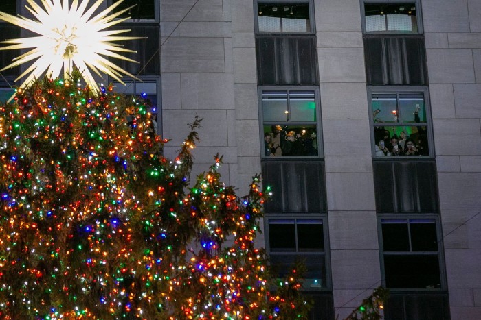 Multicoloured Christmas LED lights shine on a tree