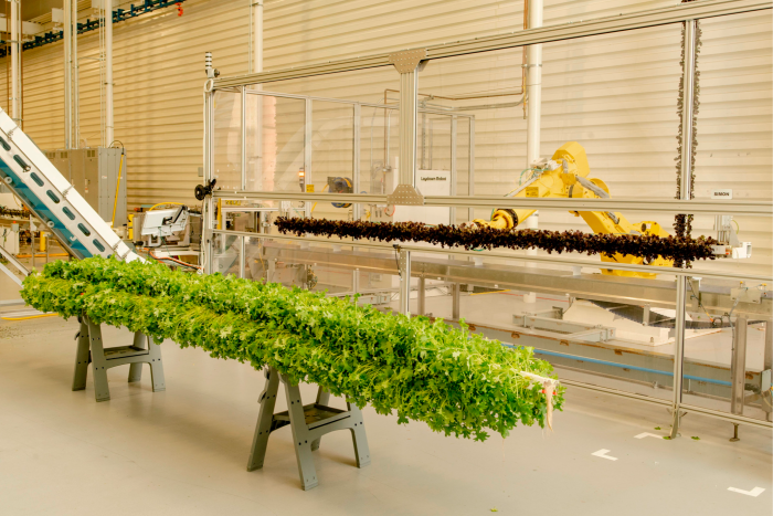 Robotic arms tend to seeds at an indoor farm 