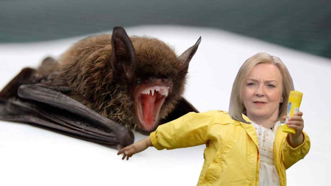 Liz Truss’s certifiable bat skit