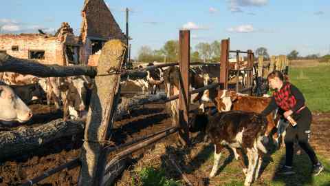 Ukrayna, Karadeniz ablukasının küresel gıda krizine neden olacağı konusunda uyardı