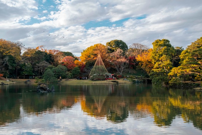 Autumn in Tokyo: a photo essay - DAILY NEWS ERA - Economy - Daily News Era