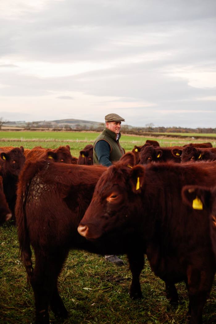 Sam Parsons, estate manager of Balcaskie, with a herd of cattle