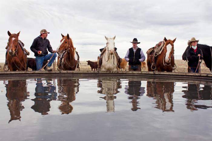 Ranchers and their horses pause for water after a cattle move at Chico Basin Ranch 