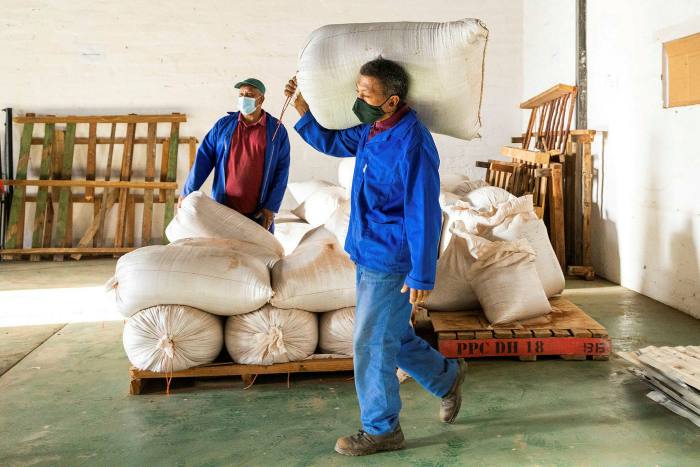 Workers with sacks of rooibos, part of the 20,000 tons South Africa produces annually