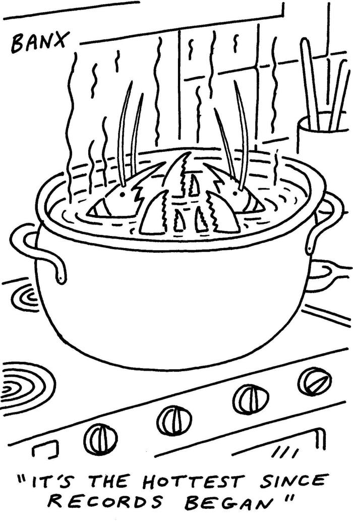 Cartoon of a pot of fish boiling on a stove