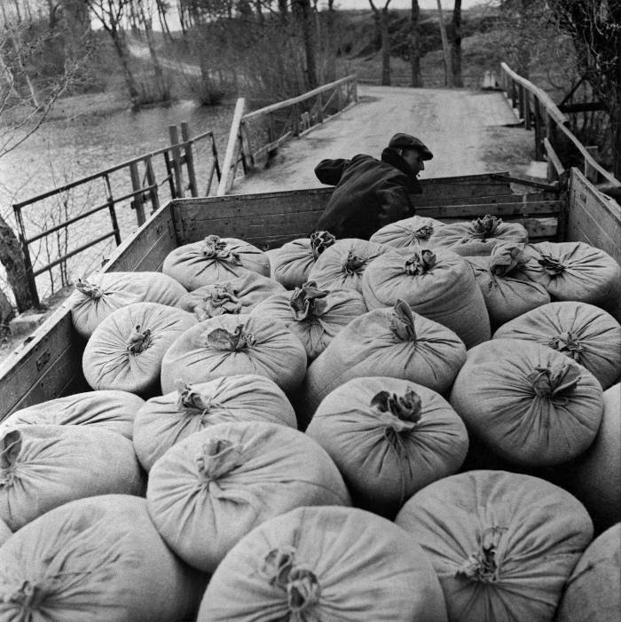 ‘Back from the Mill’, a 1964 Antanas Sutkus image showing a vehicle full of loaded sacks