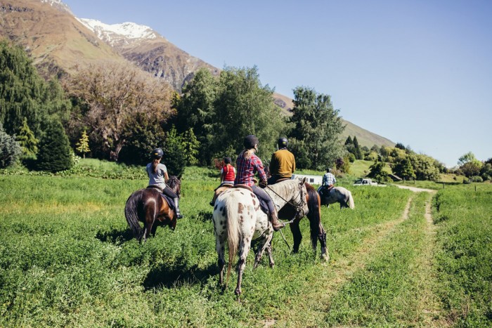 Les chevaux galopent le long d'une piste à Mahu Whenua, Nouvelle-Zélande