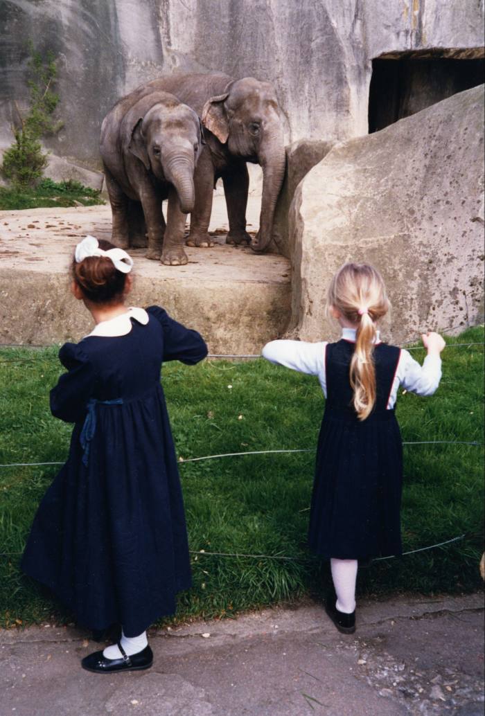 Vincennes Zoo, Paris, 1988