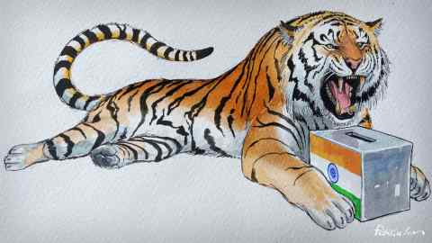James Ferguson illustration of a roaring tiger guarding a ballot box