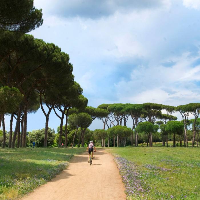 Villa Doria Pamphili: arguably the most beloved of Rome's parks
