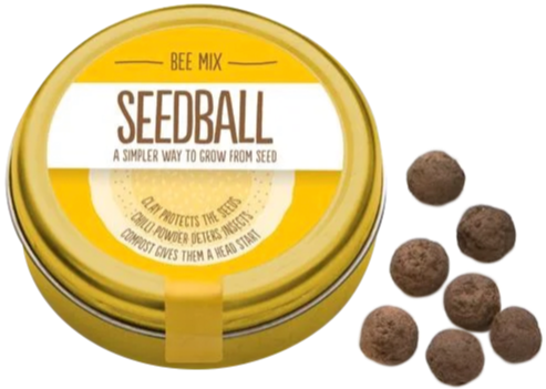 Seedball Bee Mix bebola benih, £6, animalaidshop.org.uk
