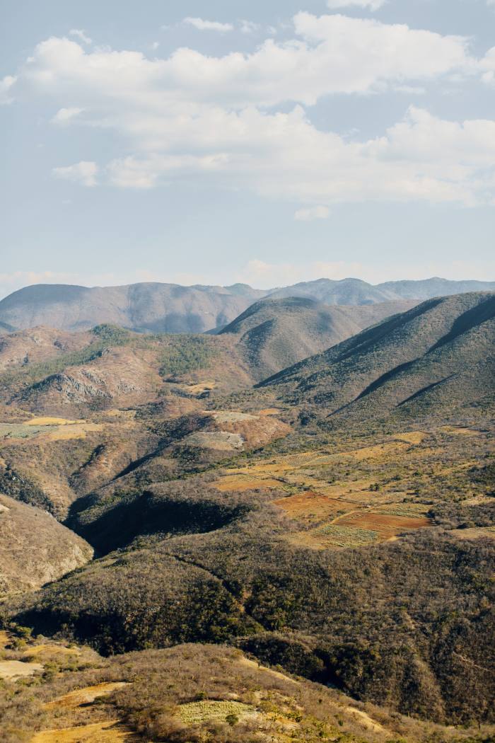 Oaxaca’s microclimates support hundreds of botanical and animal species