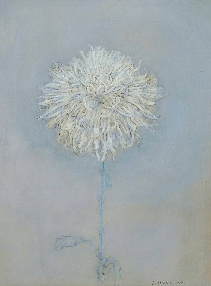 Pale watercolour of a large but delicate white flower against a blue background