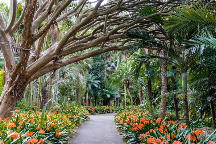 Sydney’s Royal Botanic Garden is hosting five New Year’s Eve events