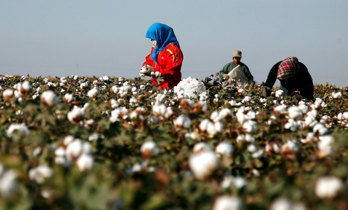 Xinjiang produces nearly 90 per cent of China’s cotton