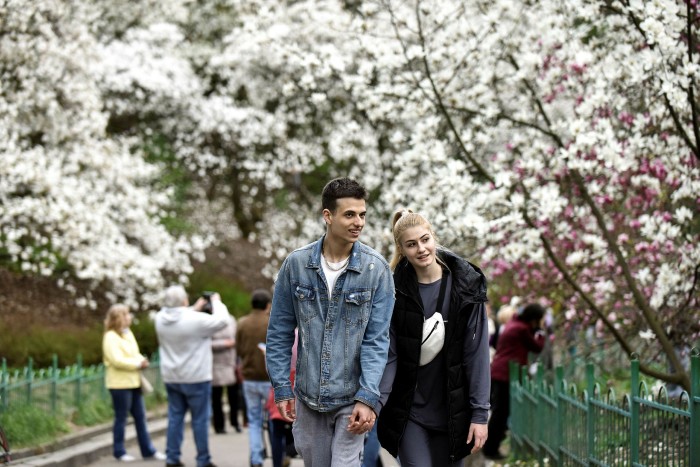 A couple walk passed the magnolia trees in bloom, holding hands and smiling