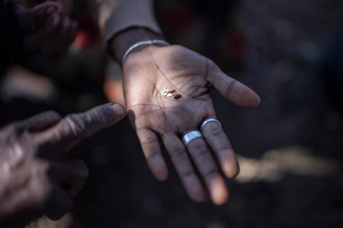 A hand displays the seeds from a nut that villages eat, along with leaves and cactus, when the harvest is poor