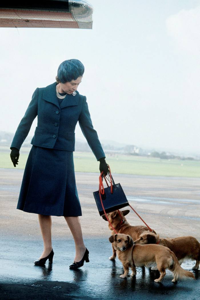 The Queen on the tarmac at Aberdeen airport in 1974, with three dogs