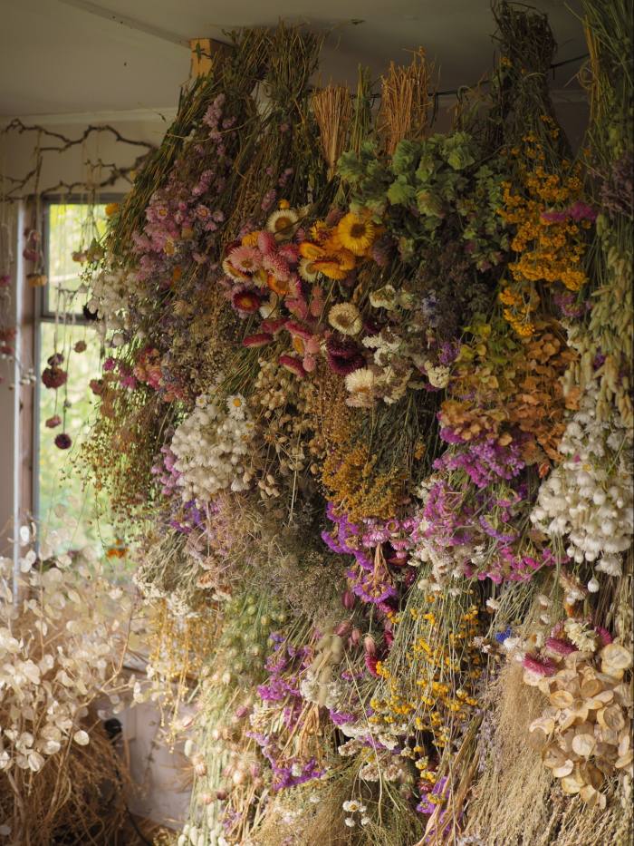 Bex Partridge's studio in Devon with dried flowers hanging on the wall for future projects