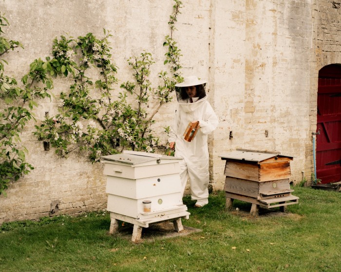 Nicola in her bee costume next to beehives in the walled garden