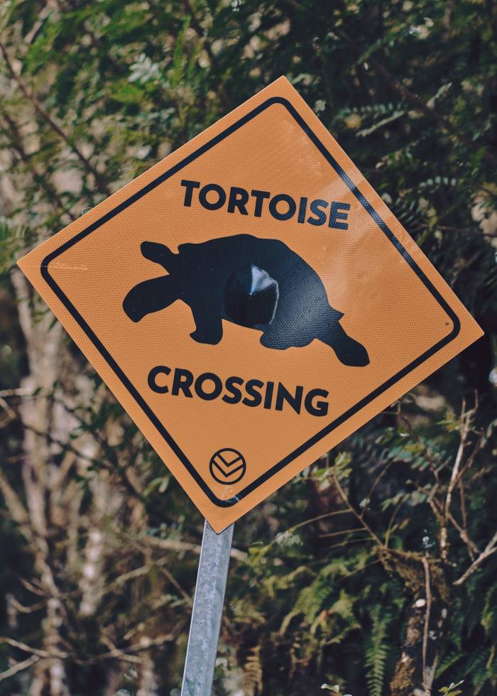 A “tortoise crossing” sign in the Galápagos