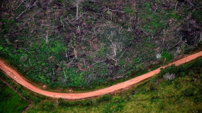Illegal deforestation at a national park in La Macarena, Colombia