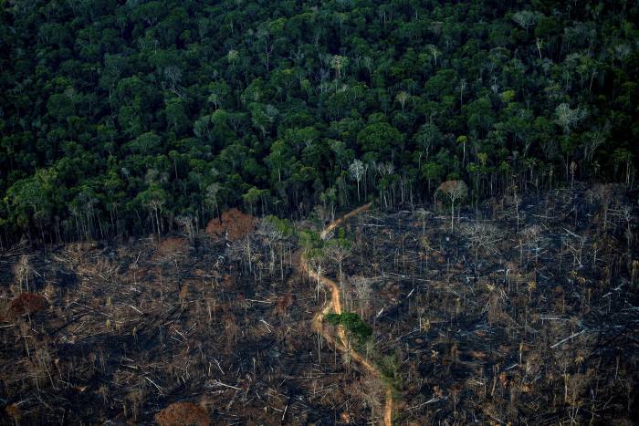 Deforestation area of ​​the Amazon Rainforest in La Brea, Brazil