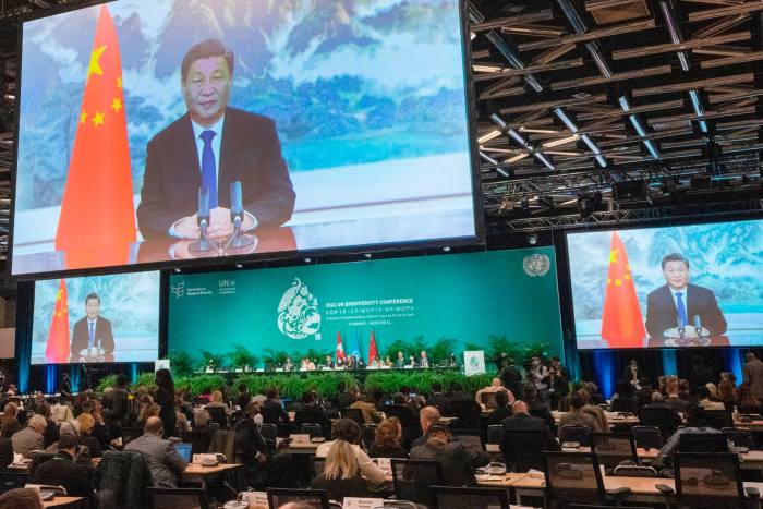 Chinese president Xi Jinping delivers a video address at the COP15 biodiversity conference