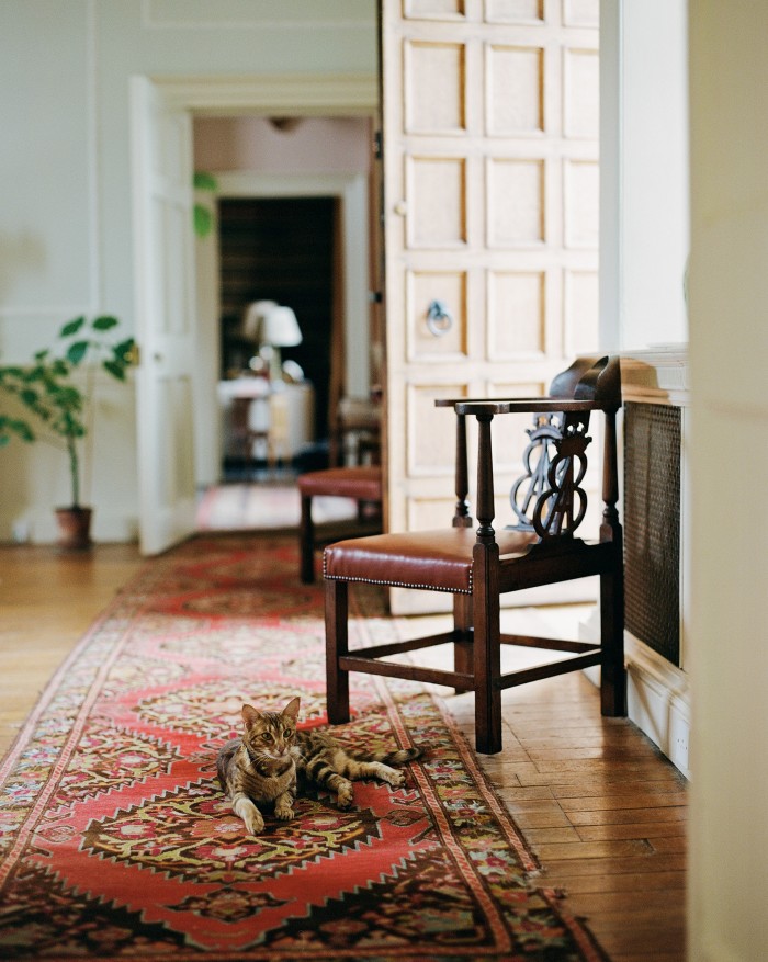 The artist Tarka Kings’s cat Lucia (named after the writer Lucia Berlin) in the corridors of her home, Airlie Castle in Scotland