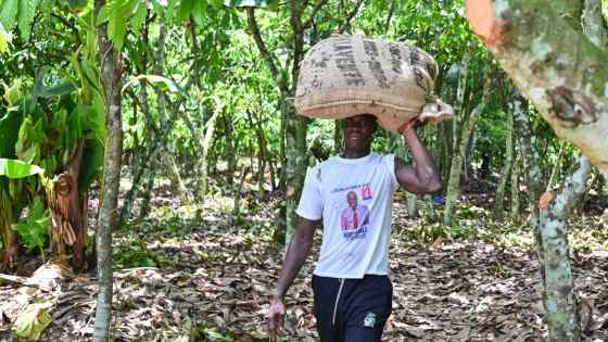 Cocoa hits record high as global shortage worsens in first quarter