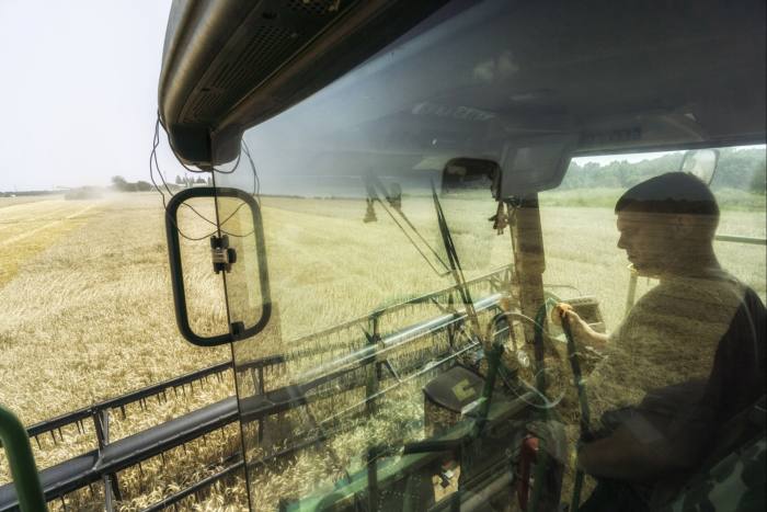 A male worker sits in the cab of a combine harvester in a field of wheat