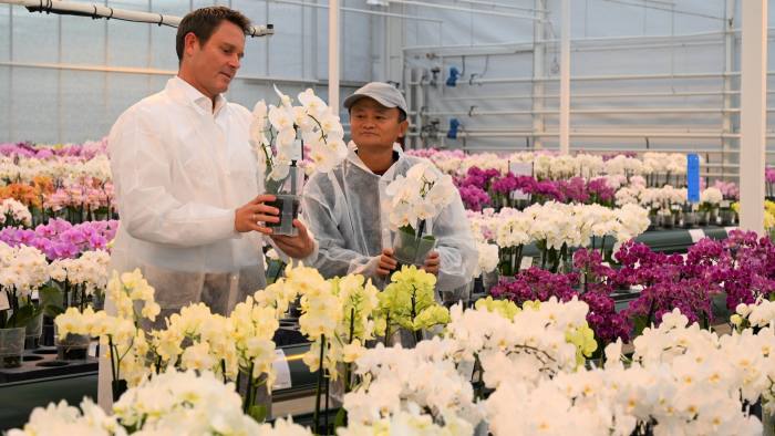 Jack Ma, right, visiting a Dutch flower grower in the Netherlands in October 2021