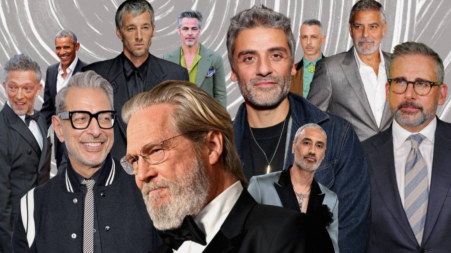 In praise of the silver fox