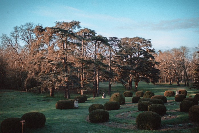 An expanse of ornate hedges and trees dot a neat lawn