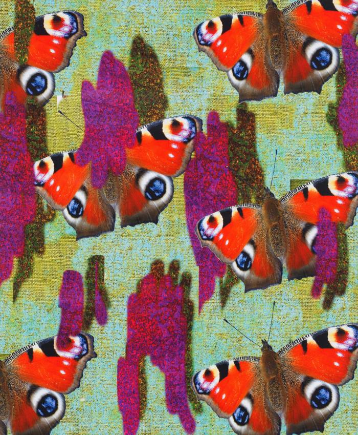 Цифровое изображение больших красных бабочек с человеческими глазами на крыльях