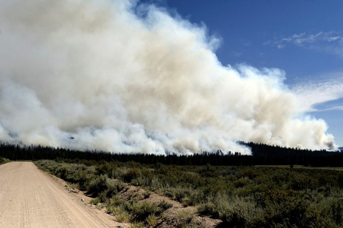 A general view of the northeast flank of the Sugar Fire