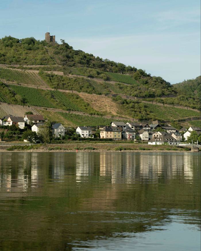 Vineyards across the water from Rheinstrand Rheindiebach