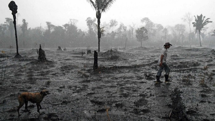 A farmer walks through a burnt area of the Amazon rainforest in Brazil