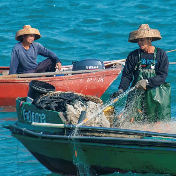 Fishermen bringing their catch into to Ap Lei Chau Market