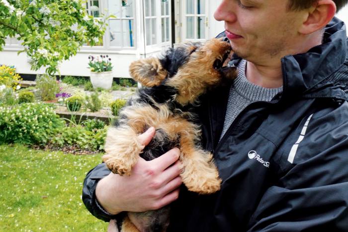 Subeditor Alexander Tyndall and his Welsh terrier Alfie