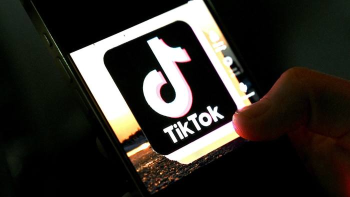 Phone app TikTok is pictured on a mobile phone