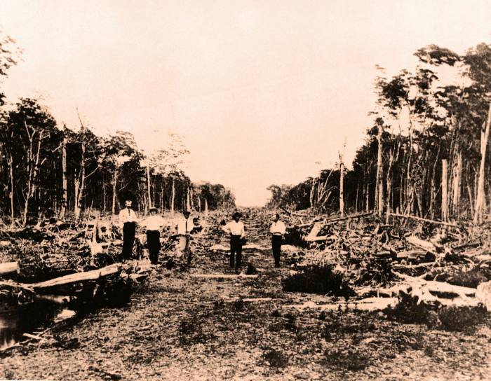 Clearing the way in 1915 for what is today Lincoln Road, South Beach’s pedestrianised shopping street