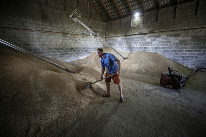 Un bărbat lucrează într-o magazie de grâu din Odesa