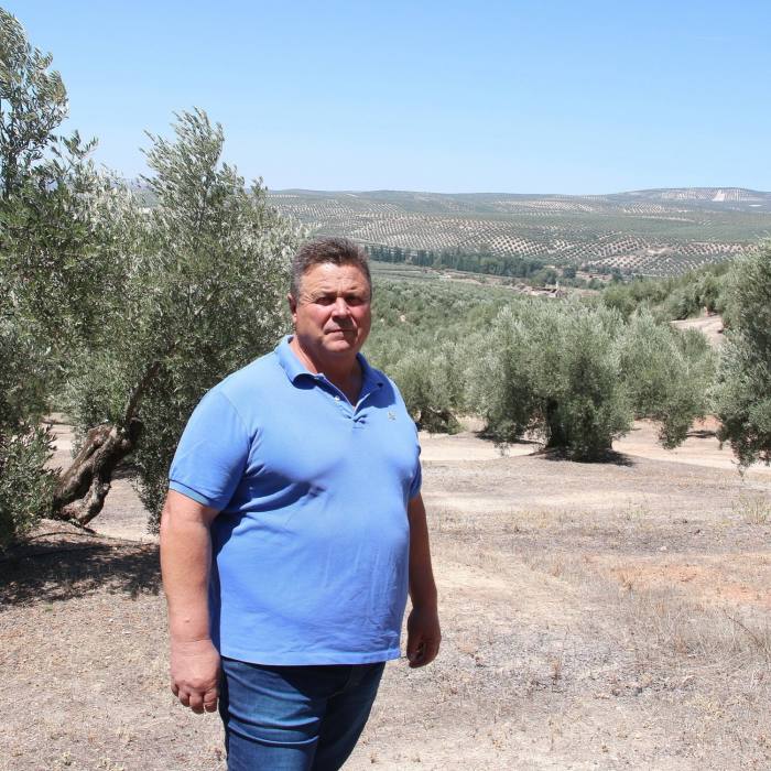 Pepe Gilabert at his olive groves