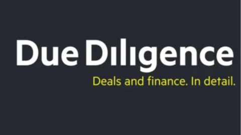 The Due Diligence logo